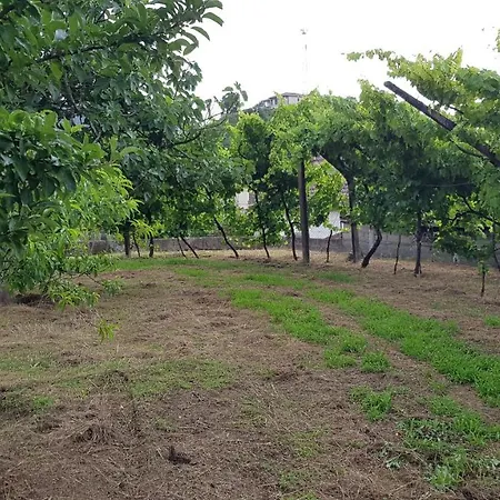 Casa Anjos 度假居