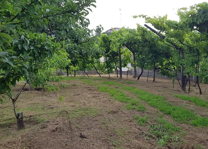 Casa Anjos 度假居